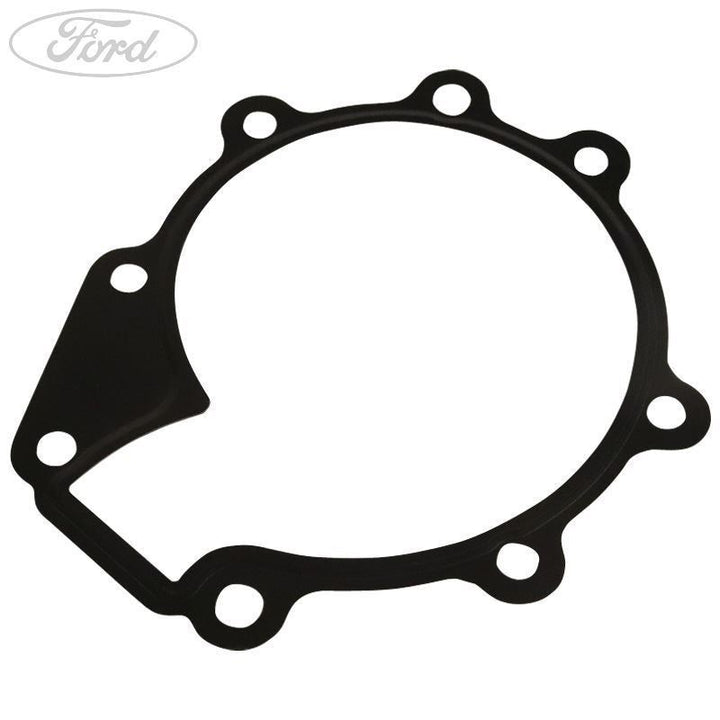 WATER PUMP GASKET