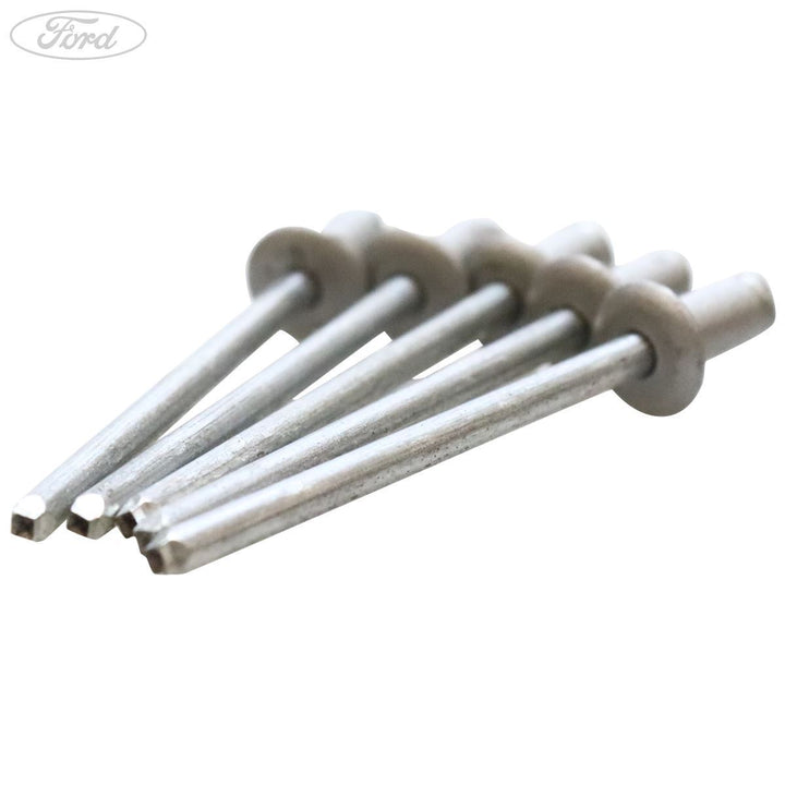 Metal Blind Rivet x5 Set Of Five Silver W525100-S427