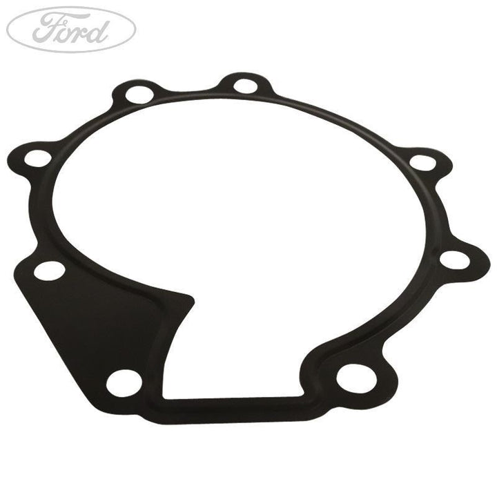 WATER PUMP GASKET