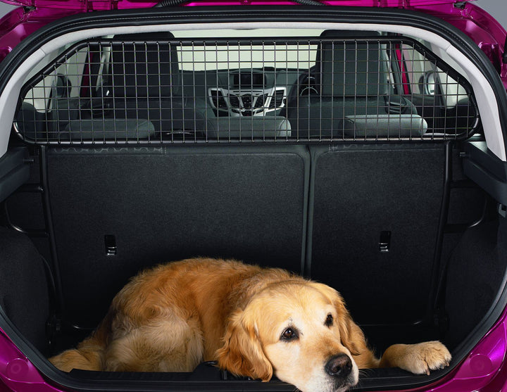 FIESTA LOAD RETENTION GUARD WITH FITTING 11/2012