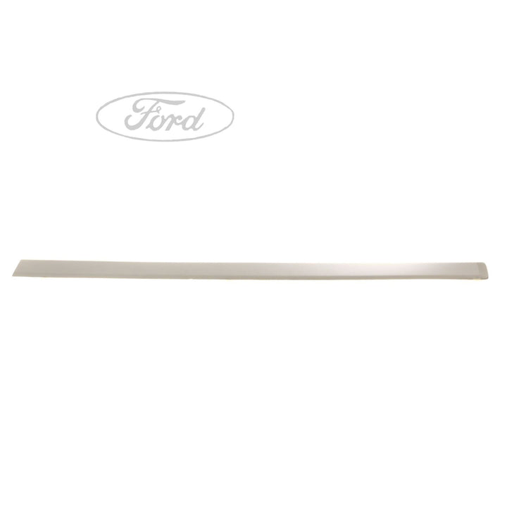 FUSION O/S DOOR OUTSIDE BODY MOULDING