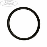 FUEL TANK PUMP GASKET