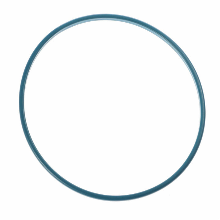 FUEL TANK PUMP GASKET