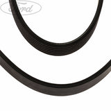 FOCUS FOCUS C-MAX MPV DRIVE V BELT
