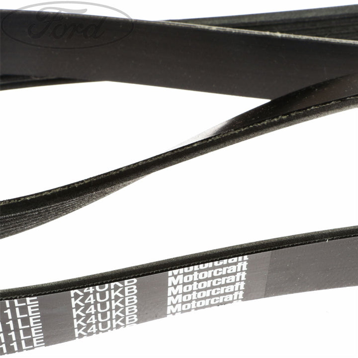 TRANSIT MOTORCRAFT DRIVE V BELT