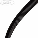 C-MAX S-MAX GALAXY WA6 MONDEO FOCUS DRIVE V BELT