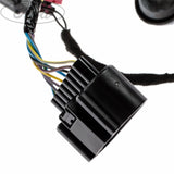 FRONT N/S PASSENGER DOOR BODY CLOSURE WIRING