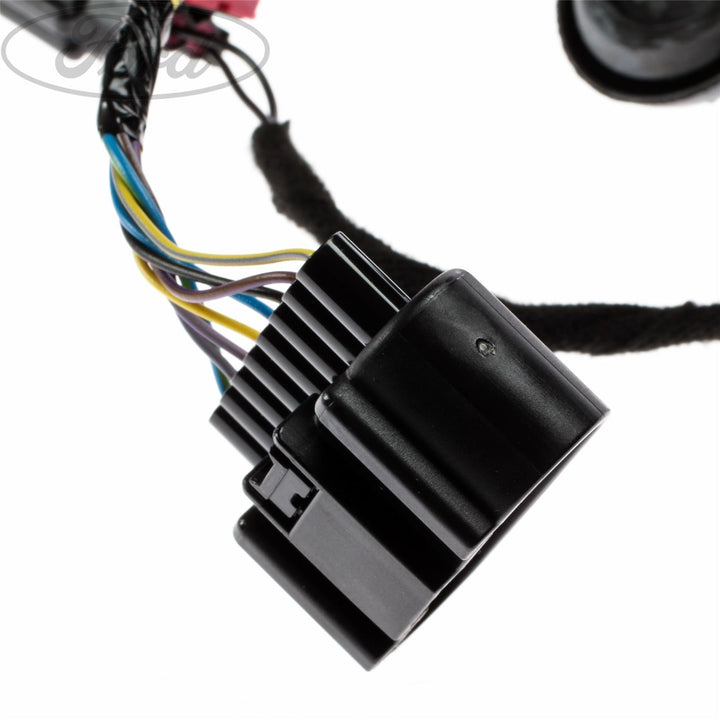FRONT N/S PASSENGER DOOR BODY CLOSURE WIRING