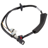 LAMP WIRING AND SOCKET