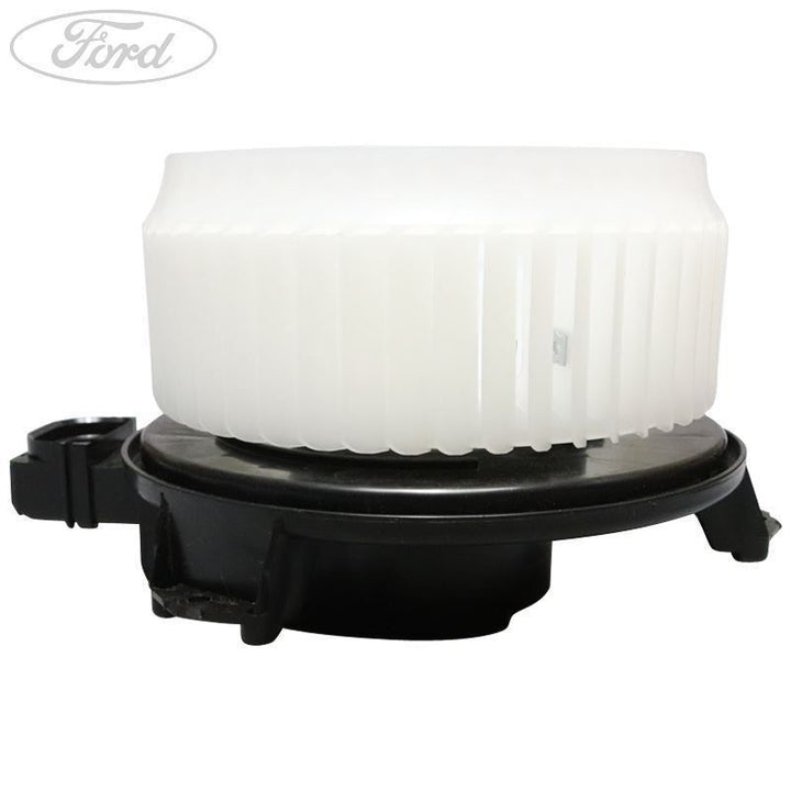 FAN AND MOTOR