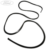 TRANSIT REAR DOOR GLASS WEATHERSTRIP SEAL DOUBLE CAB