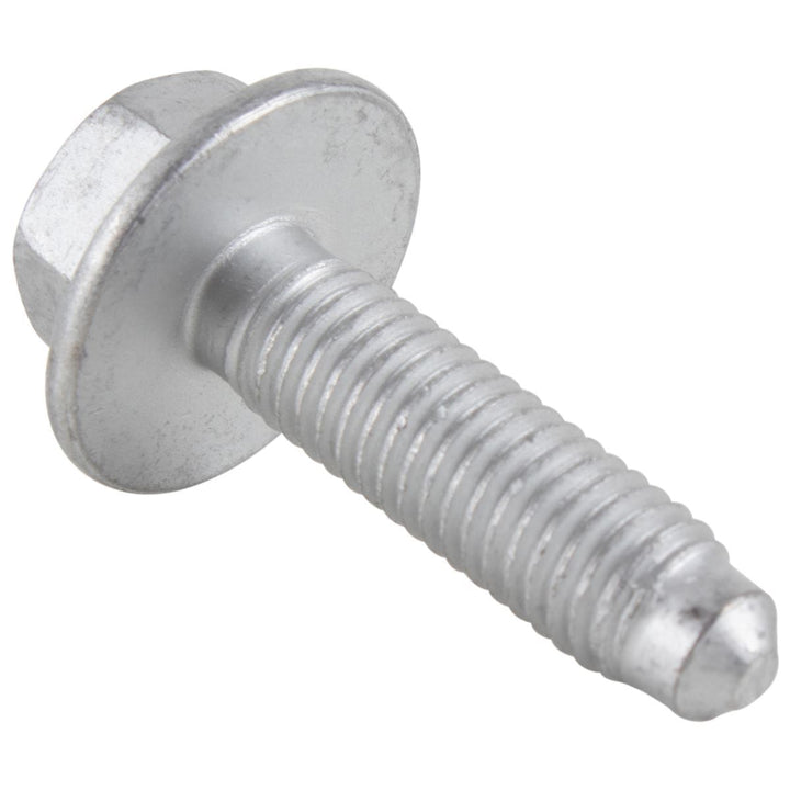 FRONT DOORS, HINGES & WEATHERSTRIPS SCREW PACK OF 5