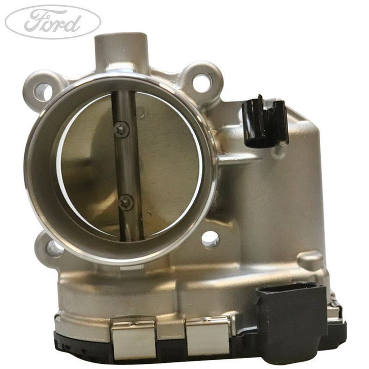 THROTTLE BODY AND MOTOR