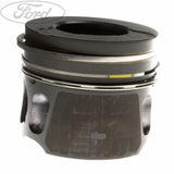 ENGINE PISTON & RING SET