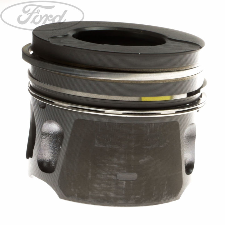 ENGINE PISTON & RING SET