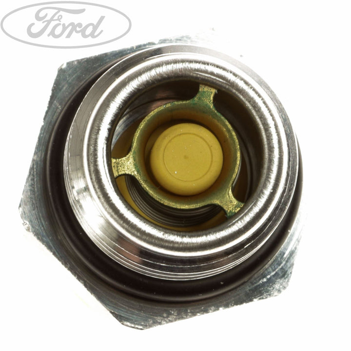 FOCUS C-MAX VACUUM PUMP NON RETURN VALVE