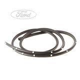 FOCUS O/S REAR DOOR WEATHERSTRIP SEAL SURROUND