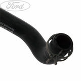 RADIATOR HOSES