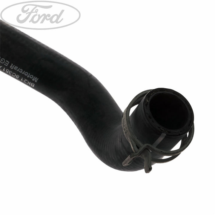 RADIATOR HOSES