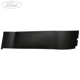 DOOR TRIM PANEL APPLIQUE
