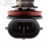 BULBS 12V 55W