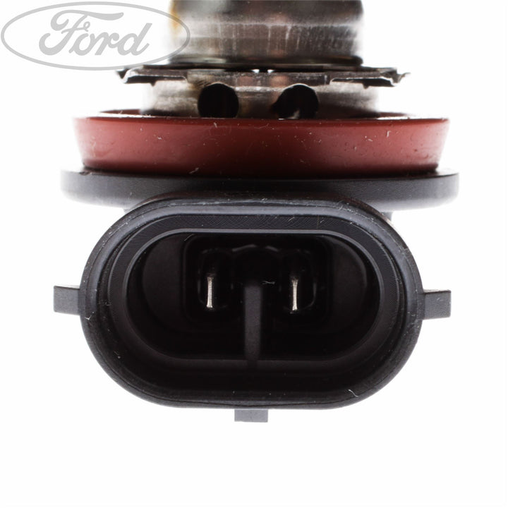 BULBS 12V 55W