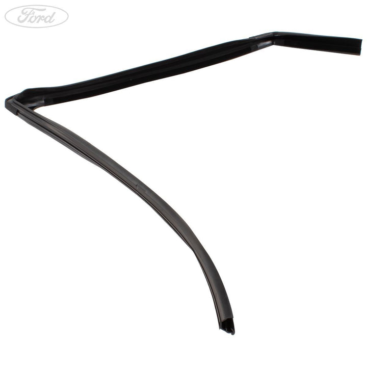ECOSPORT REAR N/S DOOR WINDOW WEATHERSTRIP SEAL 2013-2016