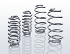 FORD TRANSIT CUSTOM® EIBACH®* PRO-LIFT KIT RIDE HEIGHT EXTENSION SPRINGS