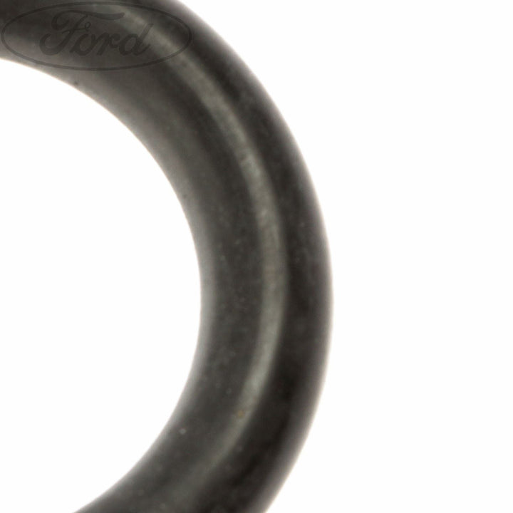 FOCUS C-MAX KUGA DURATORQ AIR BOX SECURING STRAP