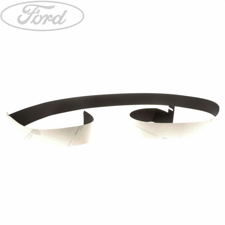 FIESTA N/S DOOR OUTSIDE BODY MOULDING