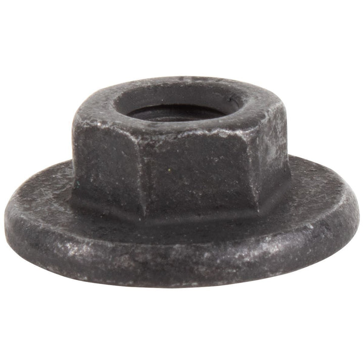 BACK DOOR/TAILGATE TRIM PANELS SPECIAL NUT