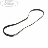 FOCUS DRIVE V BELT