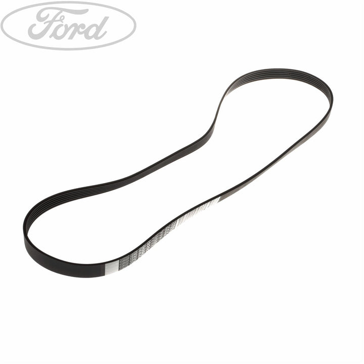 FOCUS DRIVE V BELT