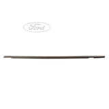 FIESTA FRONT DOOR BELT OUTER WEATHERSTRIP