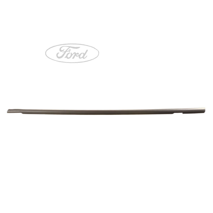 FIESTA FRONT DOOR BELT OUTER WEATHERSTRIP