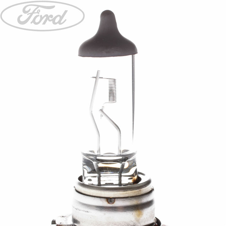 BULBS 12V 55W