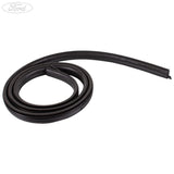 KUGA REAR TAILGATE OPENING WINDOW WEATHERSTRIP SEAL