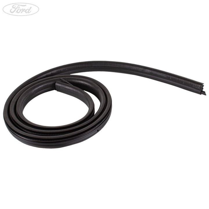 KUGA REAR TAILGATE OPENING WINDOW WEATHERSTRIP SEAL