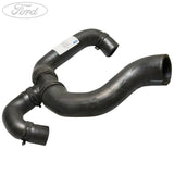 HOSE