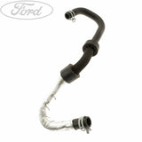 RADIATOR HOSES