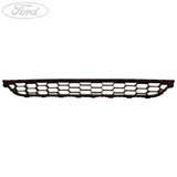 FIESTA FRONT BUMPER LOWER RADIATOR GRILLE 2014-2019