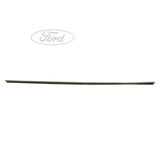 FIESTA FRONT DOOR BELT WEATHERSTRIP