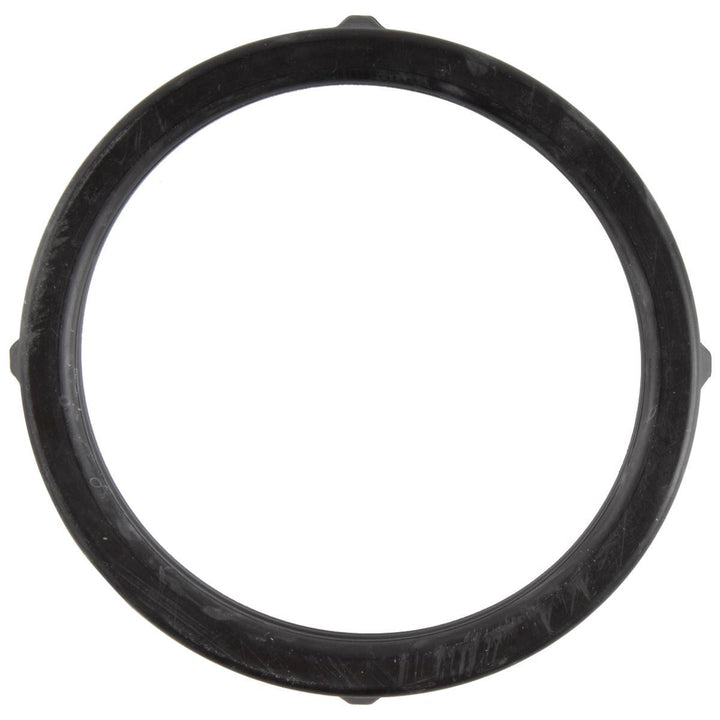 THERMOSTAT SEAL