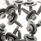 LUGGAGE COMPARTMENT DOOR SCREW AND WASHER PACK OF 5