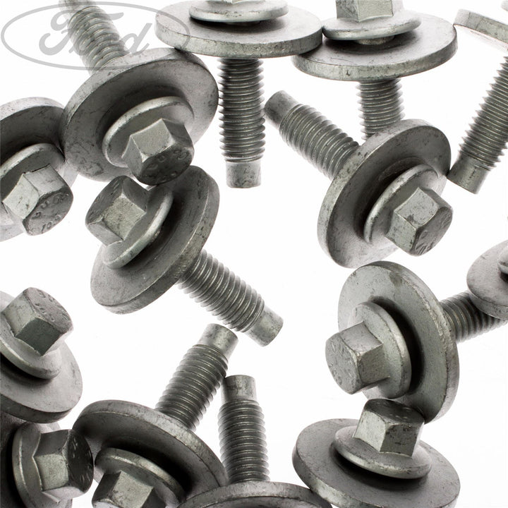 LUGGAGE COMPARTMENT DOOR SCREW AND WASHER PACK OF 5