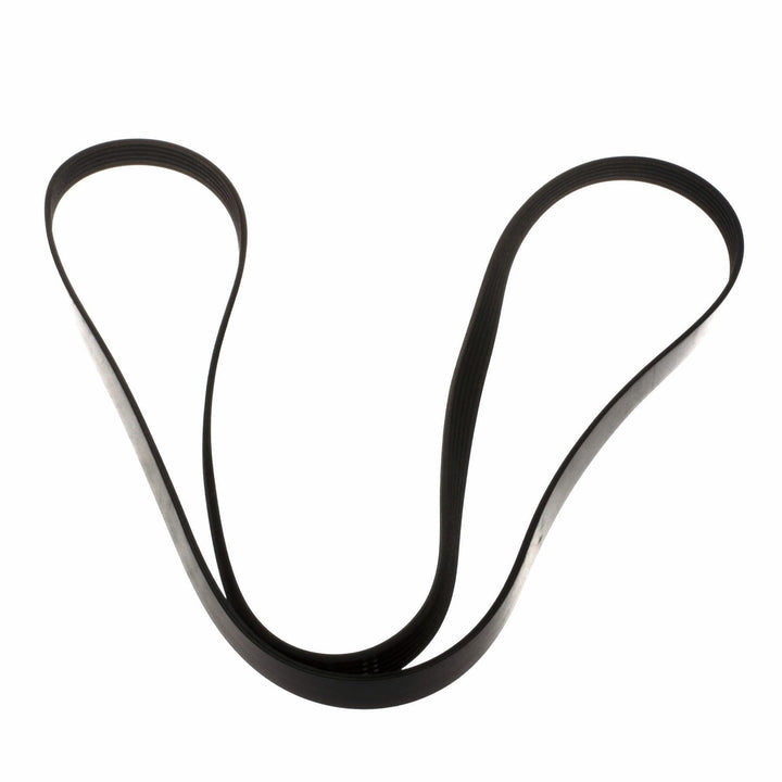 FOCUS DRIVE V BELT