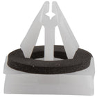 BODY MOULDINGS SCREW PACK OF 10