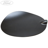 FUEL TANK FILLER ACCESS DOOR