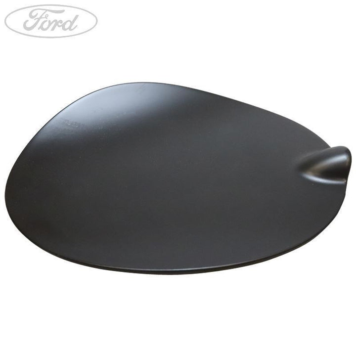FUEL TANK FILLER ACCESS DOOR