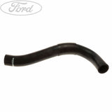 RADIATOR HOSES